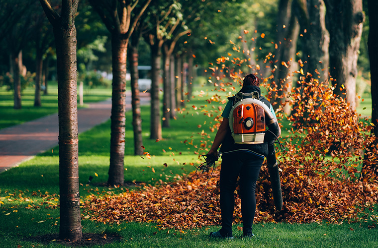 human vibration from a leaf blower